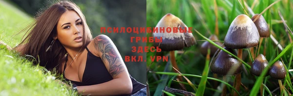 твердый Абаза