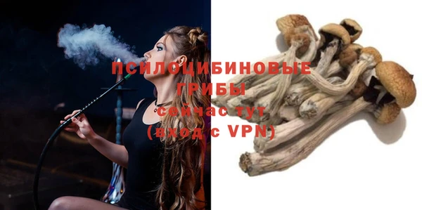 твердый Абаза