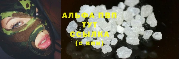 твердый Абаза