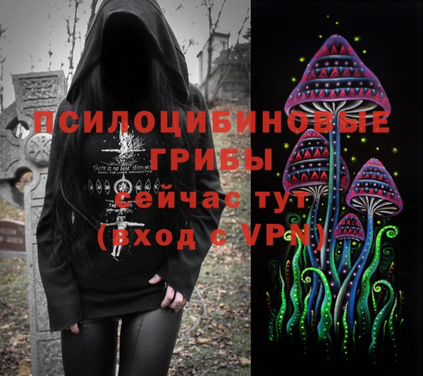 твердый Абаза