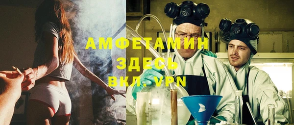 твердый Абаза