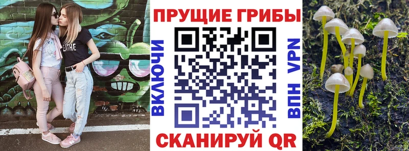 Галлюциногенные грибы Magic Shrooms  Серафимович 